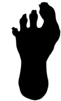 Sons of Behemat miniatury